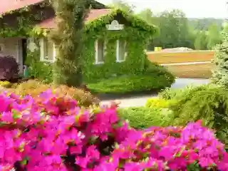 Produktionsfläche der Majewscy Baumschule in Witowice bei Końskowola